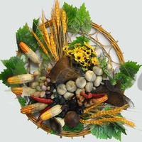 Картинка с сайта