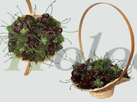 Картинка с сайта