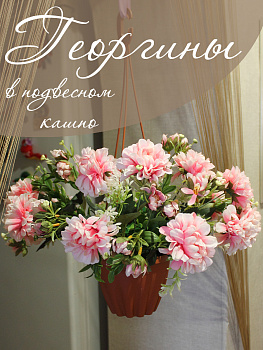цветы в подвесном кашпо