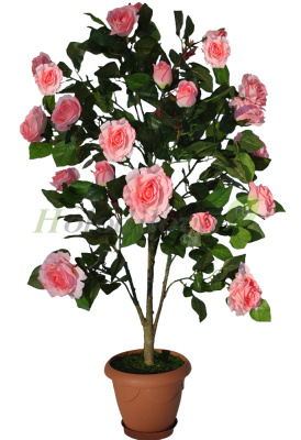 Картинка с сайта