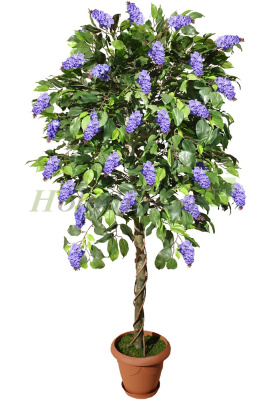 Картинка с сайта