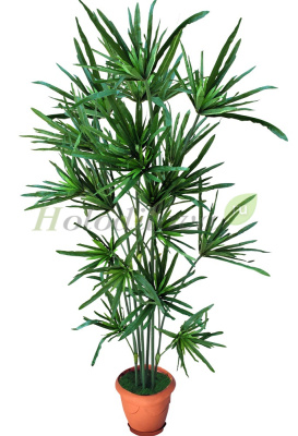 Картинка с сайта