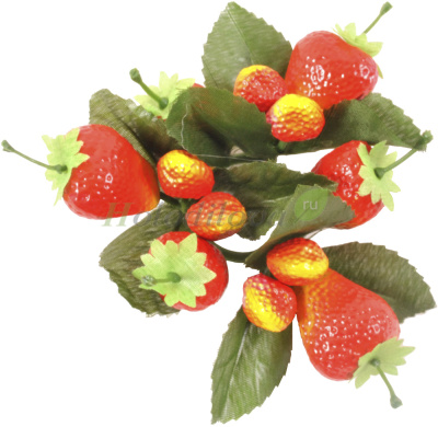 Картинка с сайта