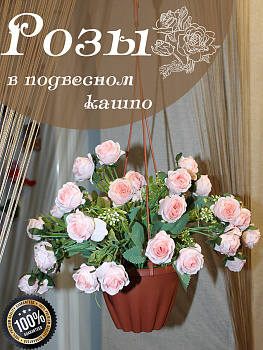 Розы в подвесном кашпо