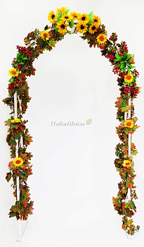 Картинка с сайта