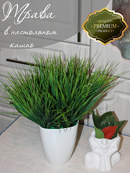 осока в кашпо