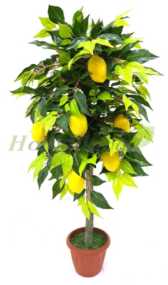 Картинка с сайта