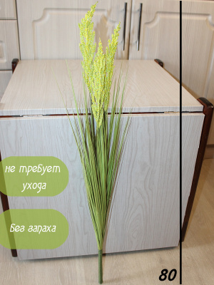 злаки декоративные