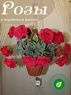 Розы в подвесном кашпо