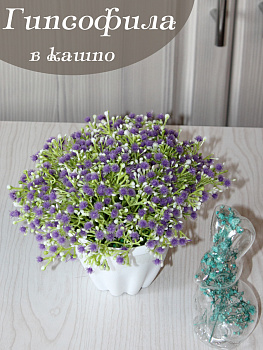 гипсофила в кашпо