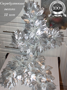 Ветки фикуса