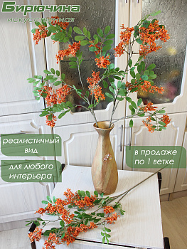 бузина