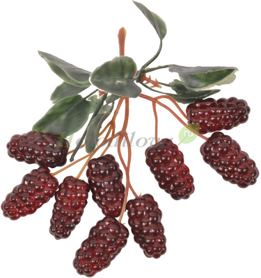 Картинка с сайта