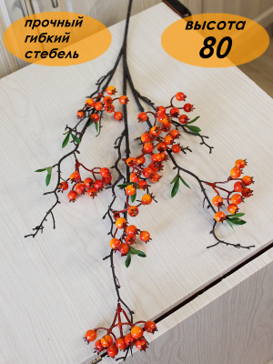 шиповник на ветке оранжевый