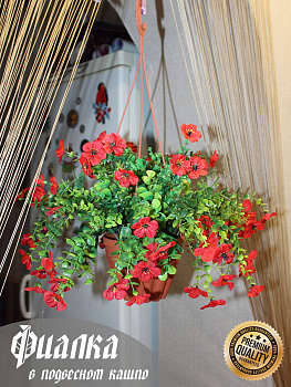 Фиалки в подвесном кашпо