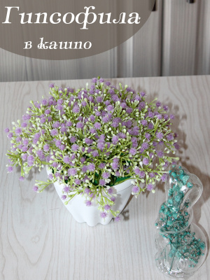 гипсофила в кашко