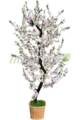 Картинка с сайта