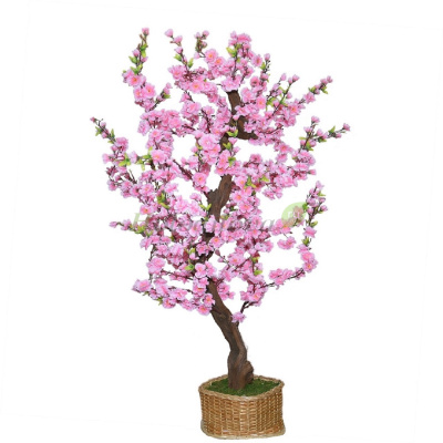 Картинка с сайта