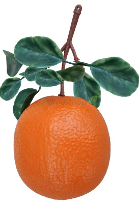 Картинка с сайта