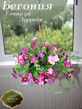 Цветы в подвесном кашпо