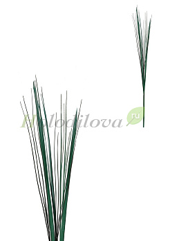 Картинка с сайта