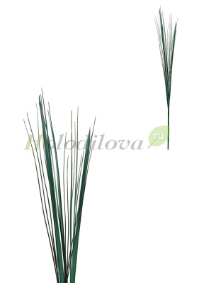 Картинка с сайта