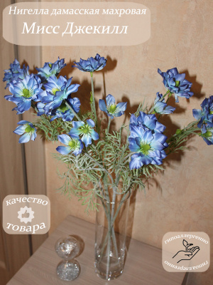 Нигелла дамасская махровая