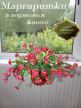 Цветы в подвесном кашпо