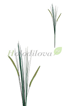 Картинка с сайта