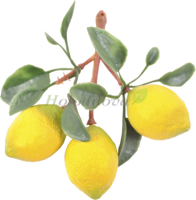 Картинка с сайта