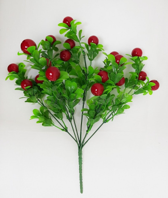 Картинка с сайта