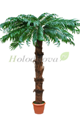 Картинка с сайта