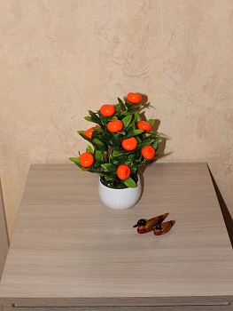 Мандарин в горшке