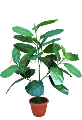 Картинка с сайта