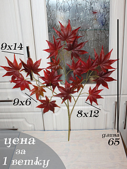 Ветка клена от Д-00-03-9