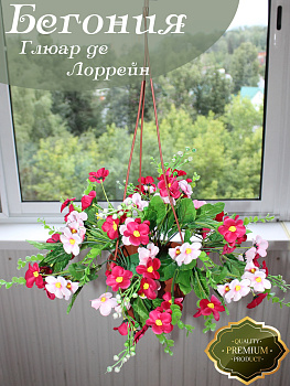 Цветы в подвесном кашпо