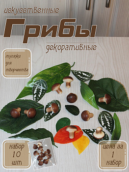 грибы