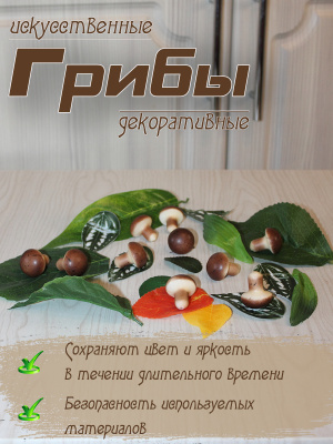 грибы