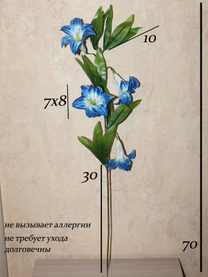 Колокольчики голубые