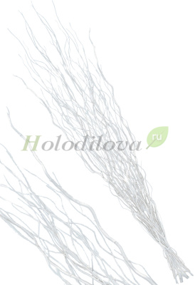 Картинка с сайта