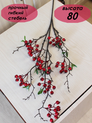 шиповник на ветке красный