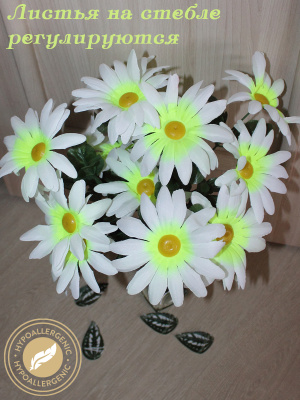 Ромашки на ветке