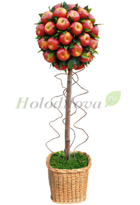 Картинка с сайта