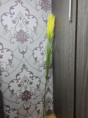 Пампасная трава