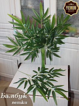 ветка бамбука