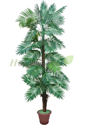 Картинка с сайта