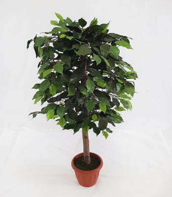 Картинка с сайта