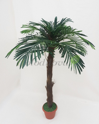 Картинка с сайта