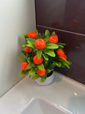 Мандарин в горшке