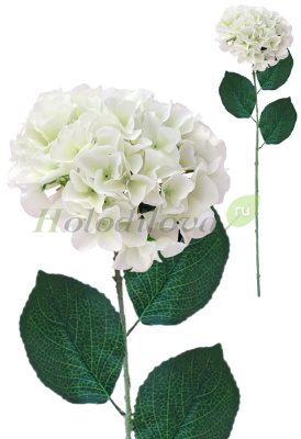 Картинка с сайта